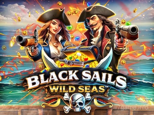 Black Sails Wild Seas